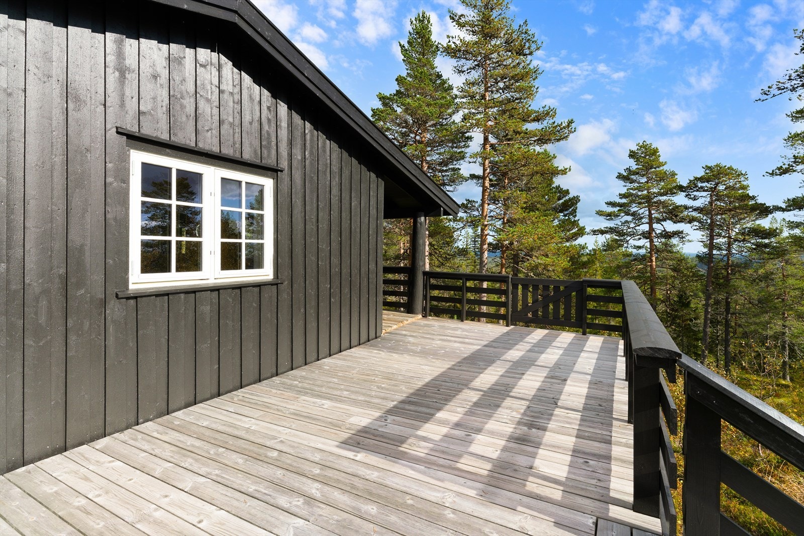 Sommerbilde av hytta. Galleribilde