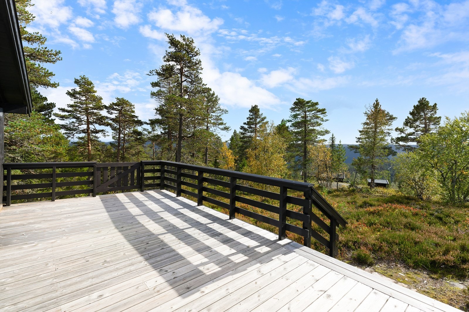 Utsynet er trivelig, i en blanding av lett furuskog, og horisontlinja som strekker seg bortover. Galleribilde