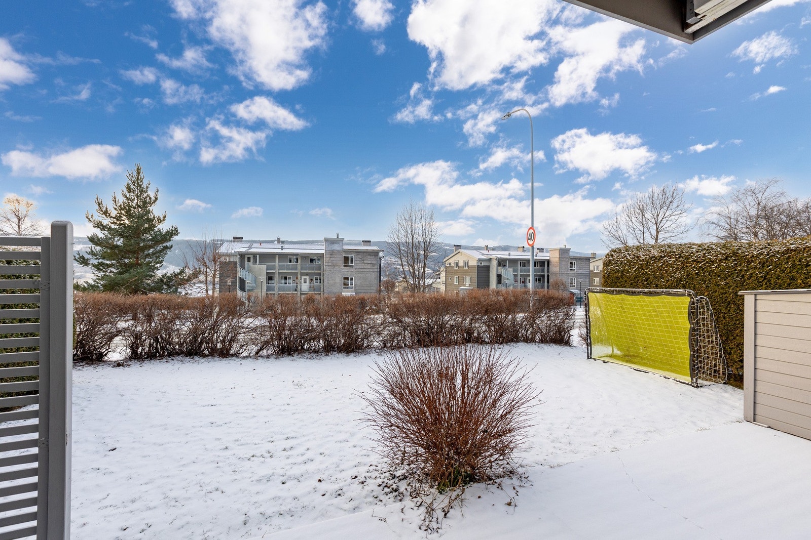 Koselig hageflekk omkranset av hekk. Galleribilde