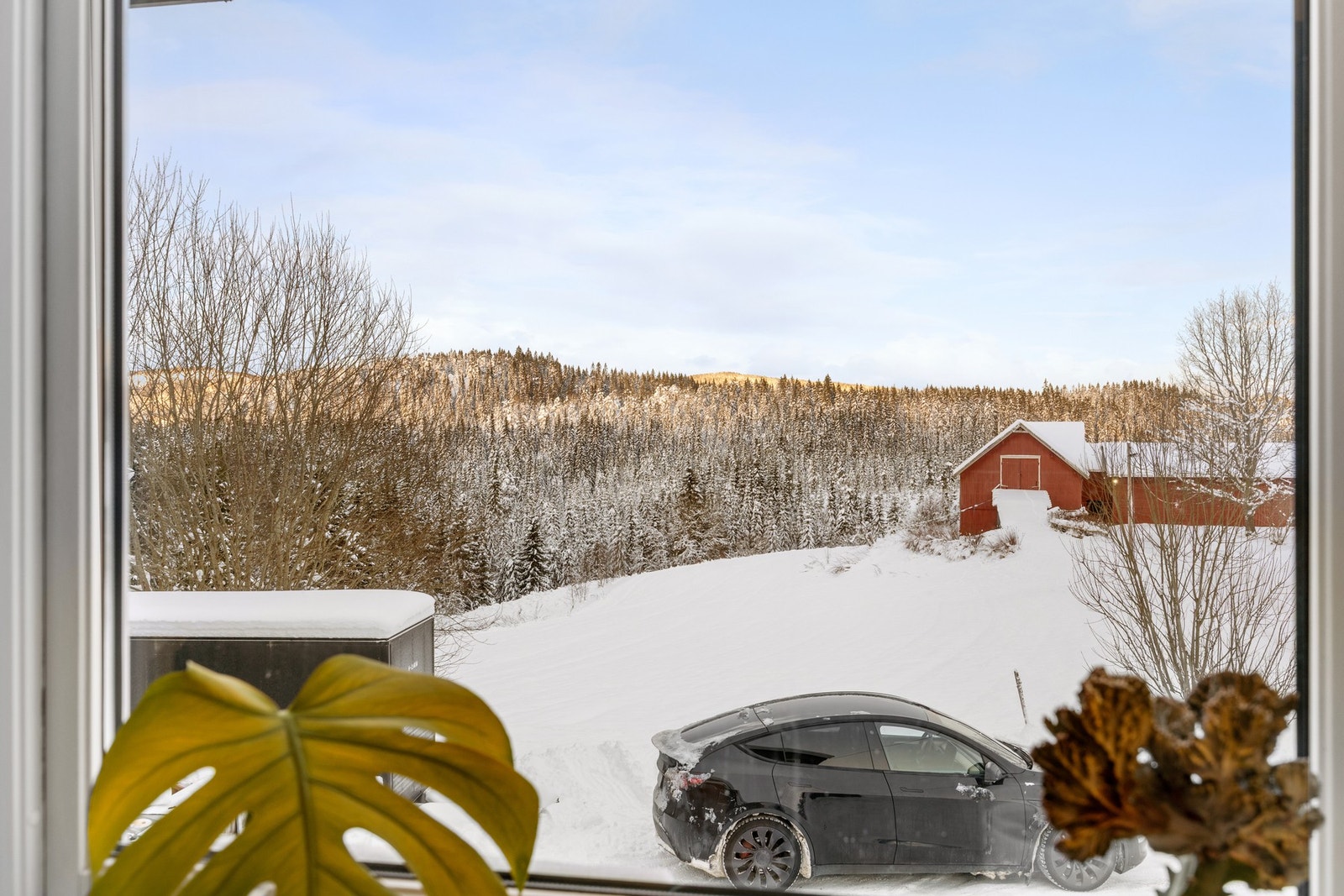 Landlig utsikt! Galleribilde