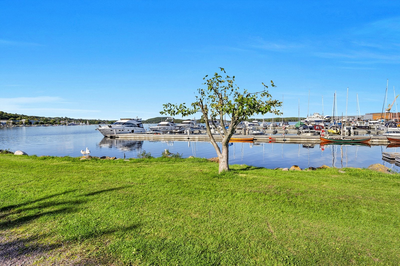 150 meter til båthavn Galleribilde