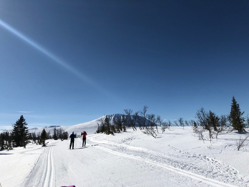 Langrenn og tur - fine langrennsløyper rundt Kvitåvatn og videre mot Gaustatoppen Galleribilde
