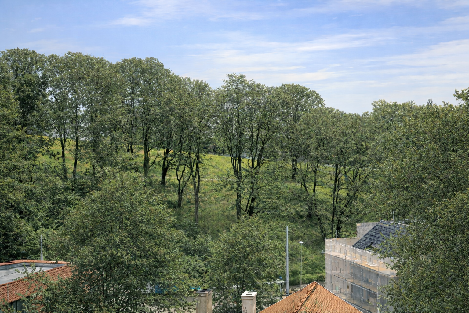 AI-redigert bilde, ment å illustrere mulig utsikt sommerstid. Galleribilde