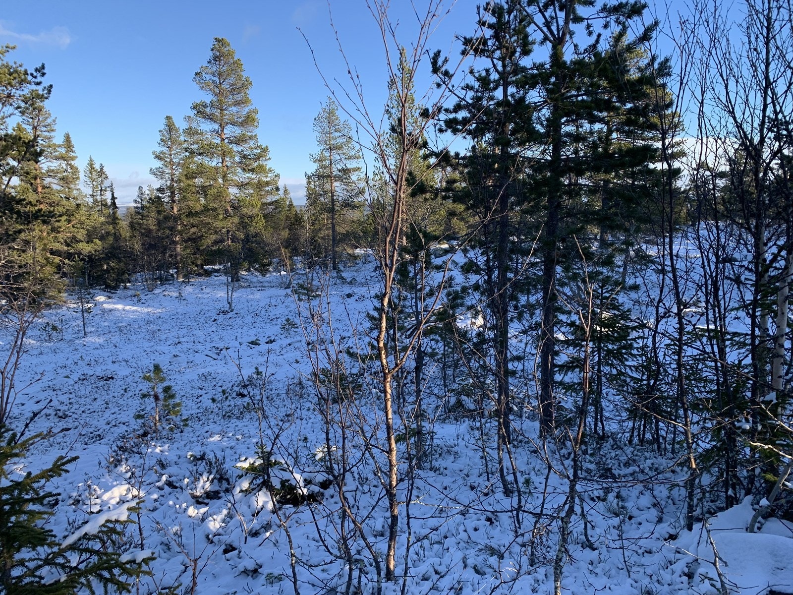 Fåfengveien 14 Galleribilde