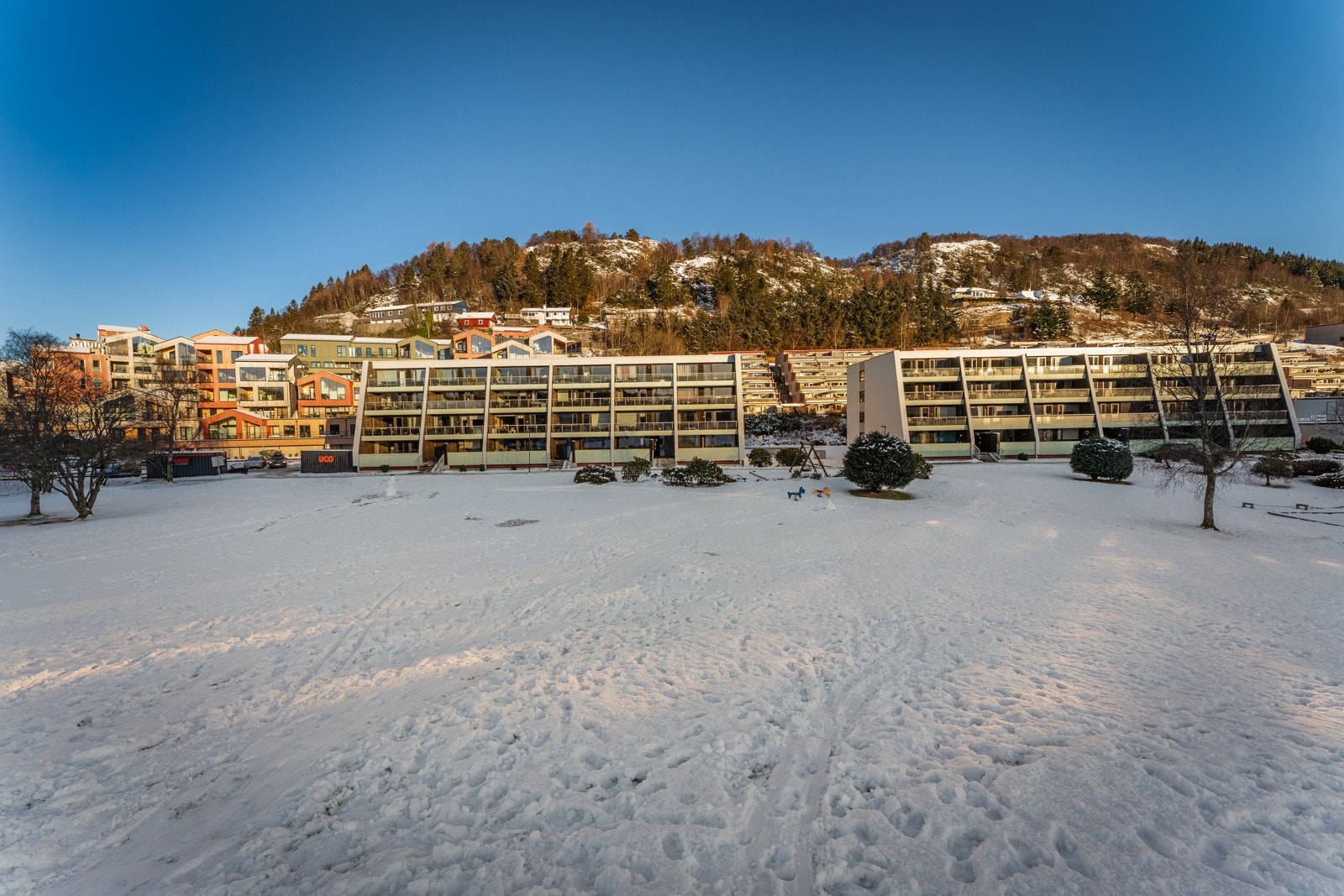 Velkommen til visning! Galleribilde