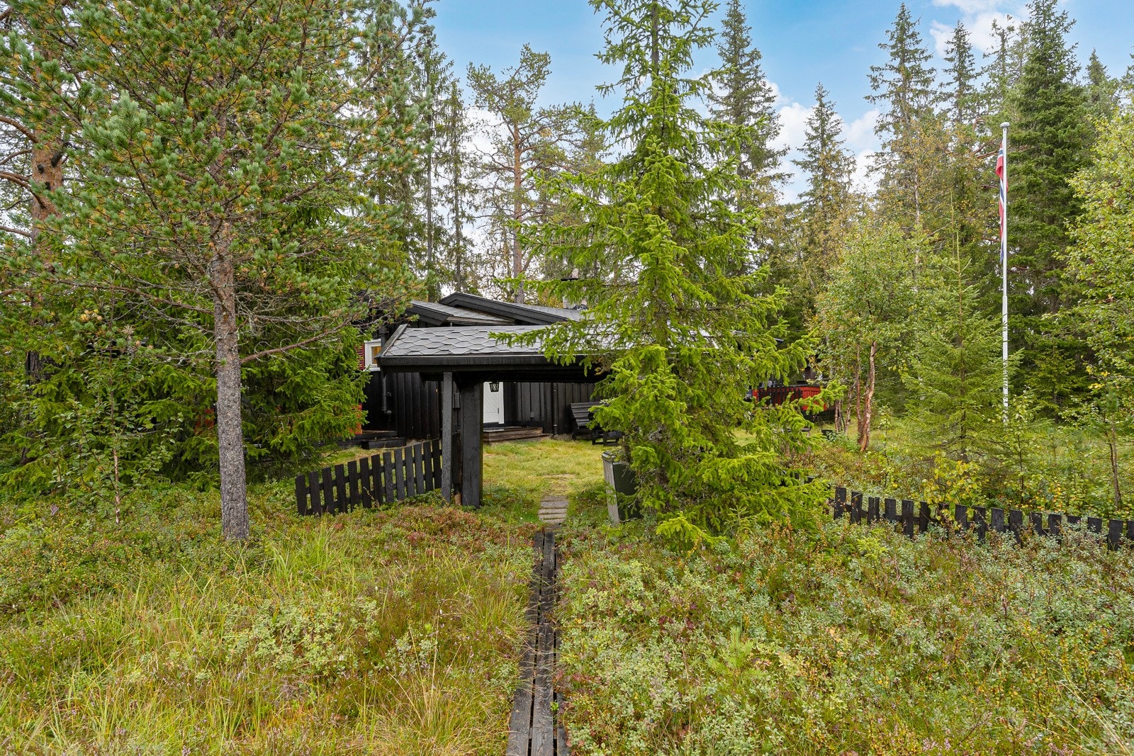 Det er gangsti over myra til hytta. Galleribilde