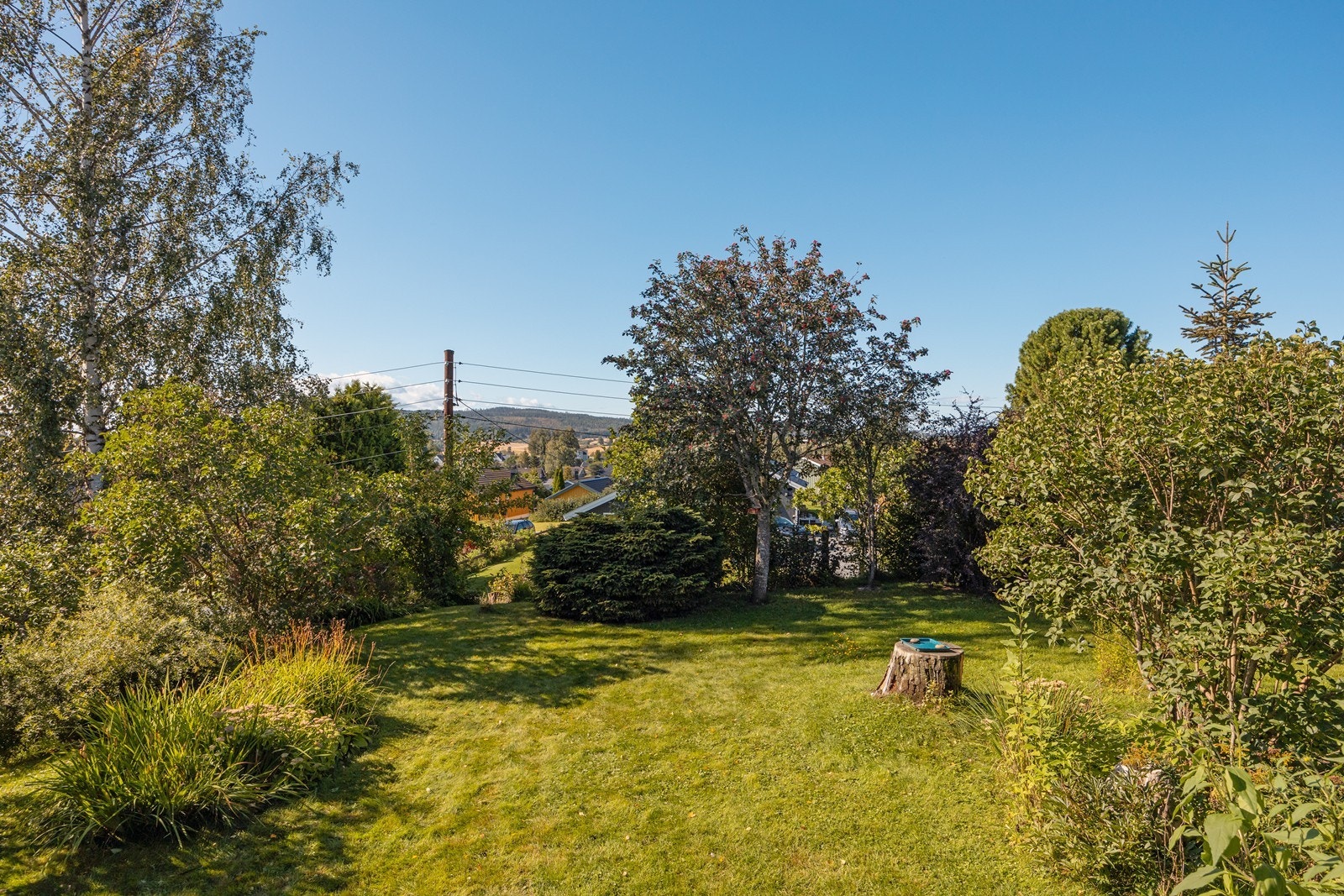 Hagen er av god størrelse og er pent opparbeidet med plen, blomster, busker og trær. Galleribilde
