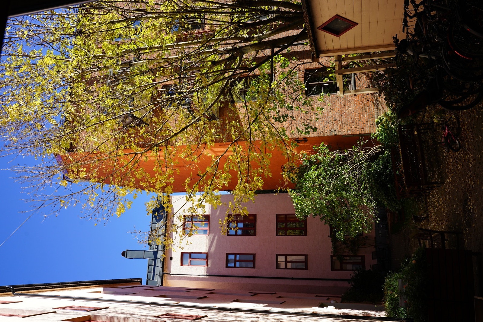 Høstlig utsikt fra kjøkkenvinduet. Galleribilde