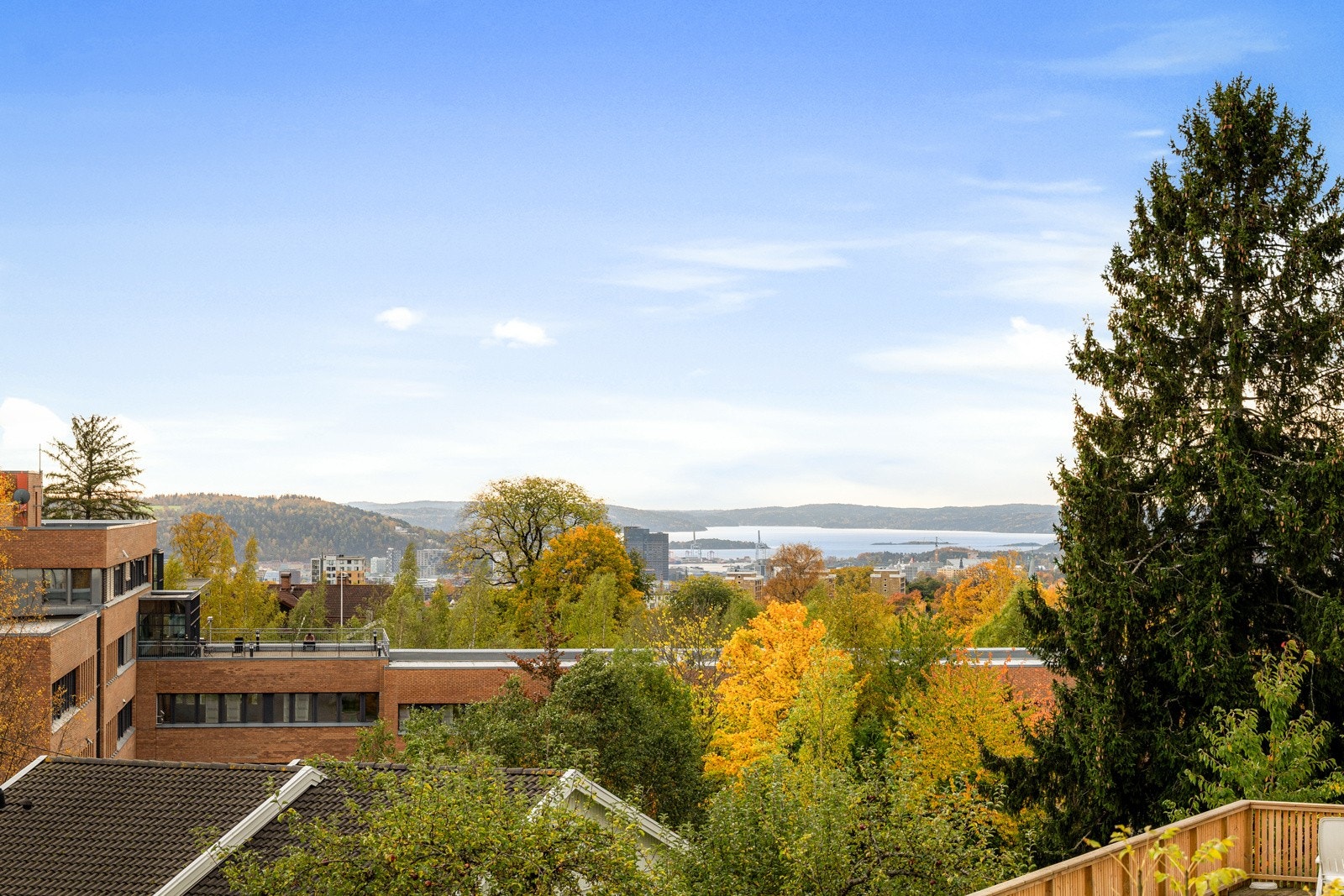 Utsikt. Galleribilde