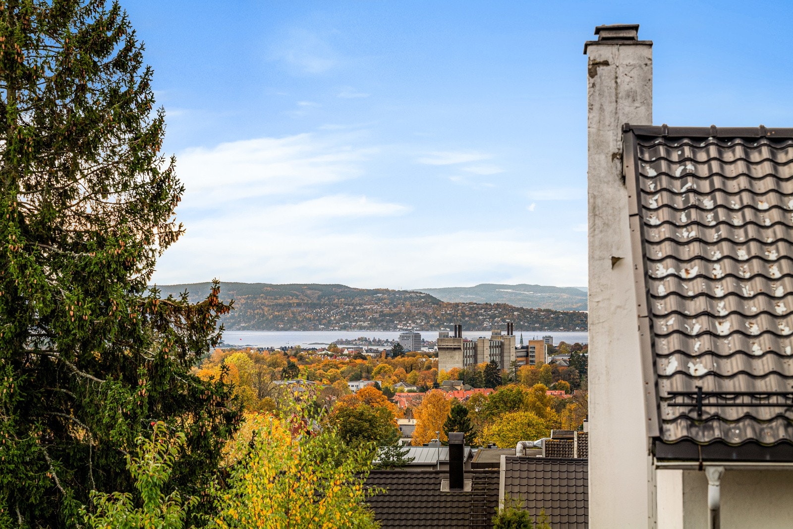 Utsikt. Galleribilde