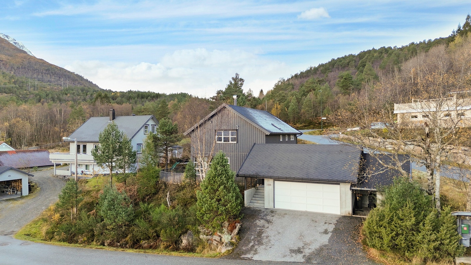 Fasade. Galleribilde