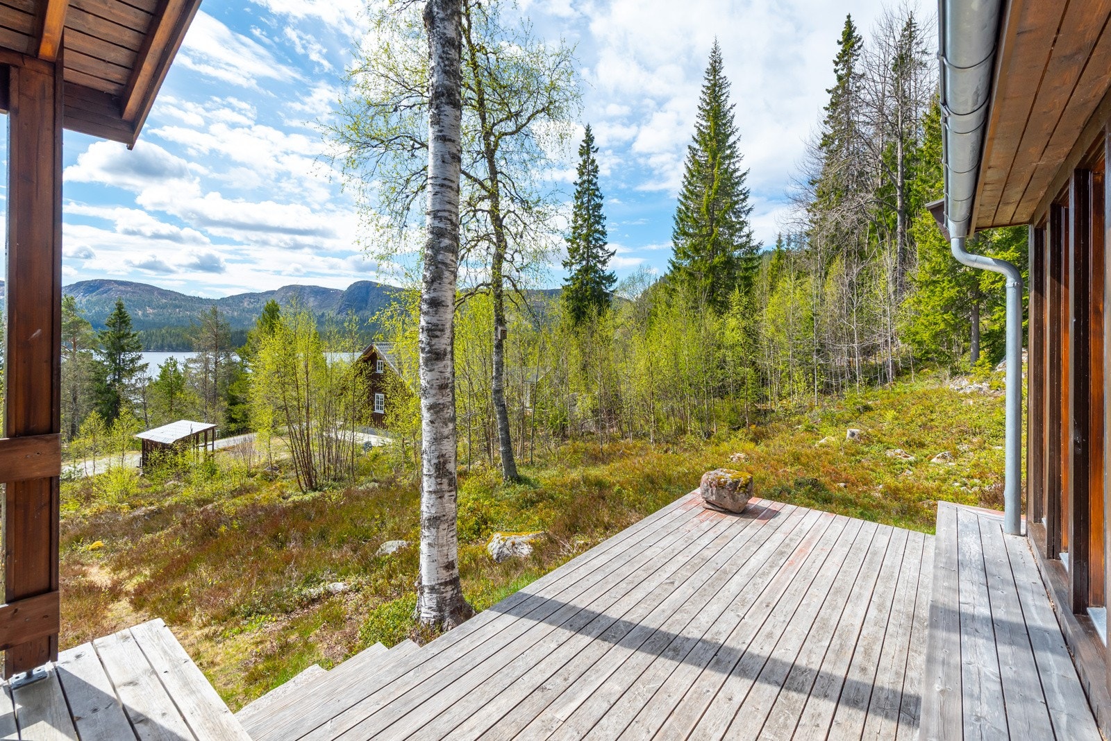 Utsikt. Galleribilde