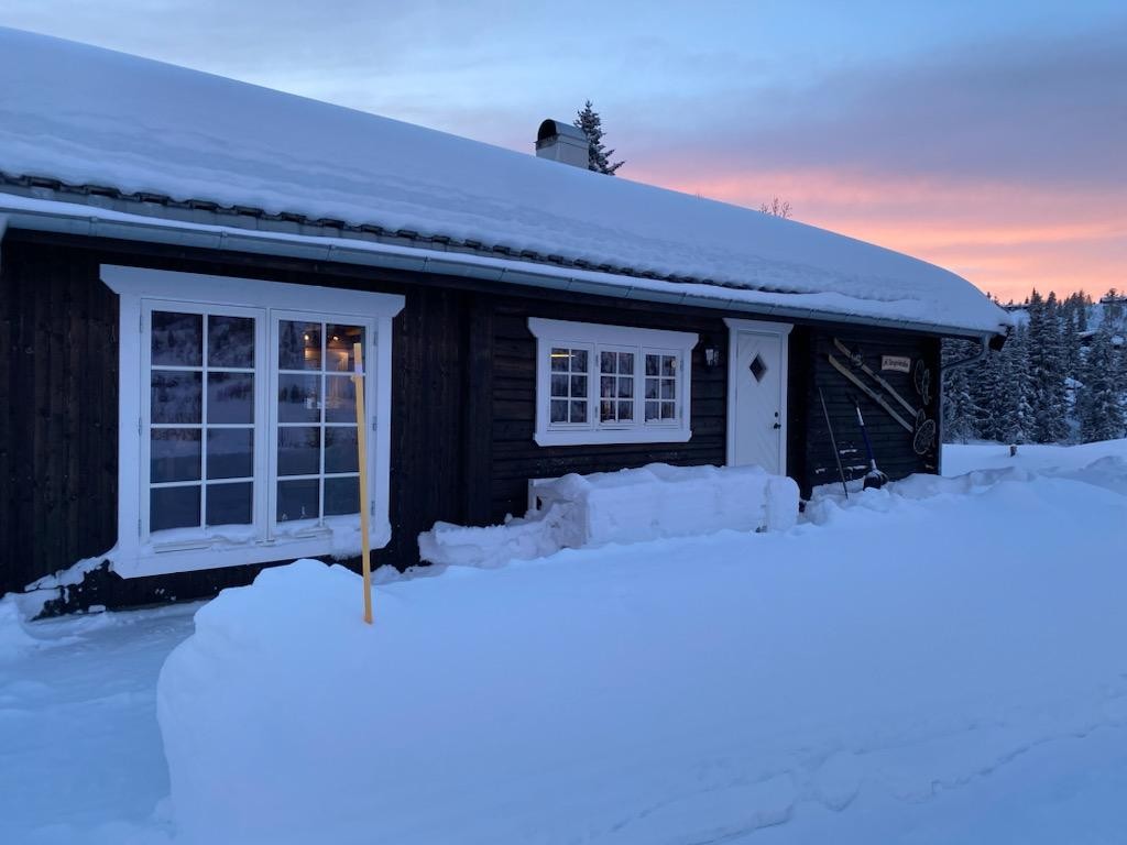Vinterbilde tatt av selger de siste vintrene Galleribilde