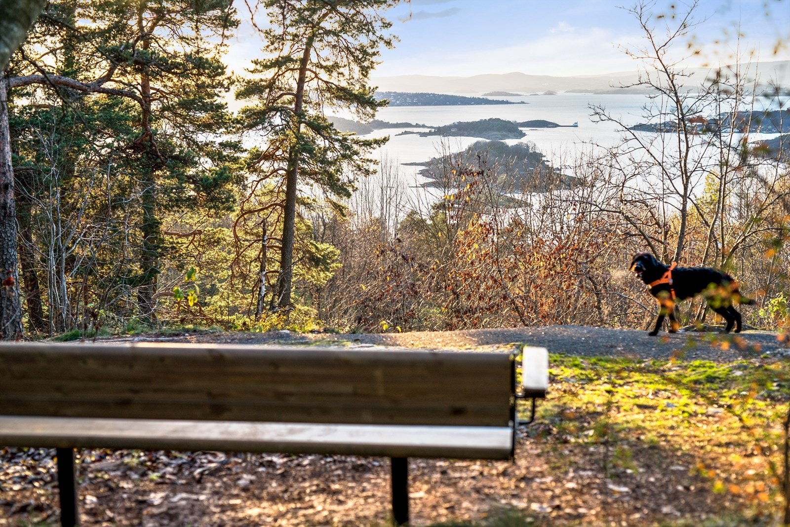 Du finner også en rekke turmuligheter på Ekeberg med både vakker natur og upåklagelig utsikt, ypperlig for både hygge og trening. Galleribilde