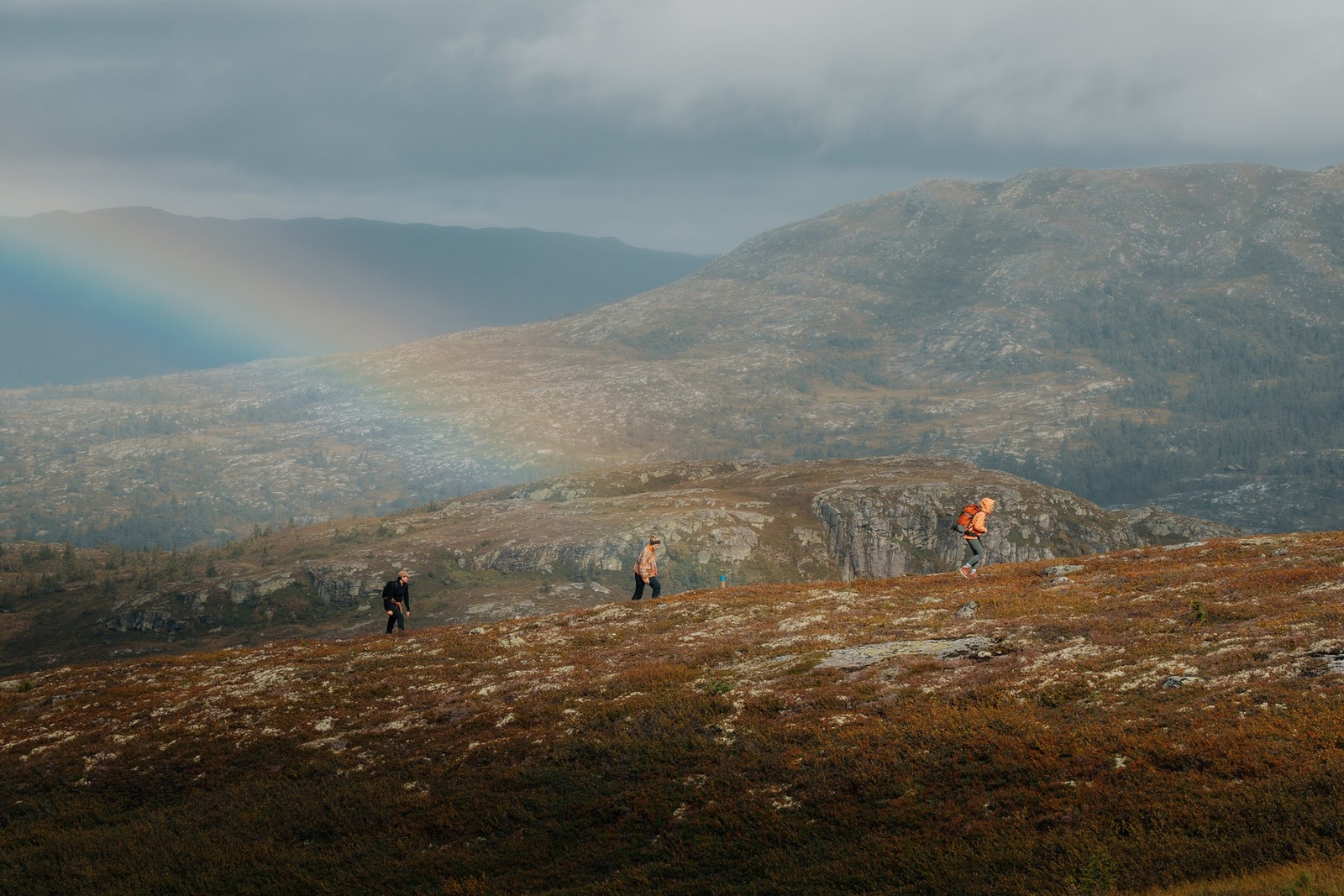 Velkommen til fjells! Galleribilde
