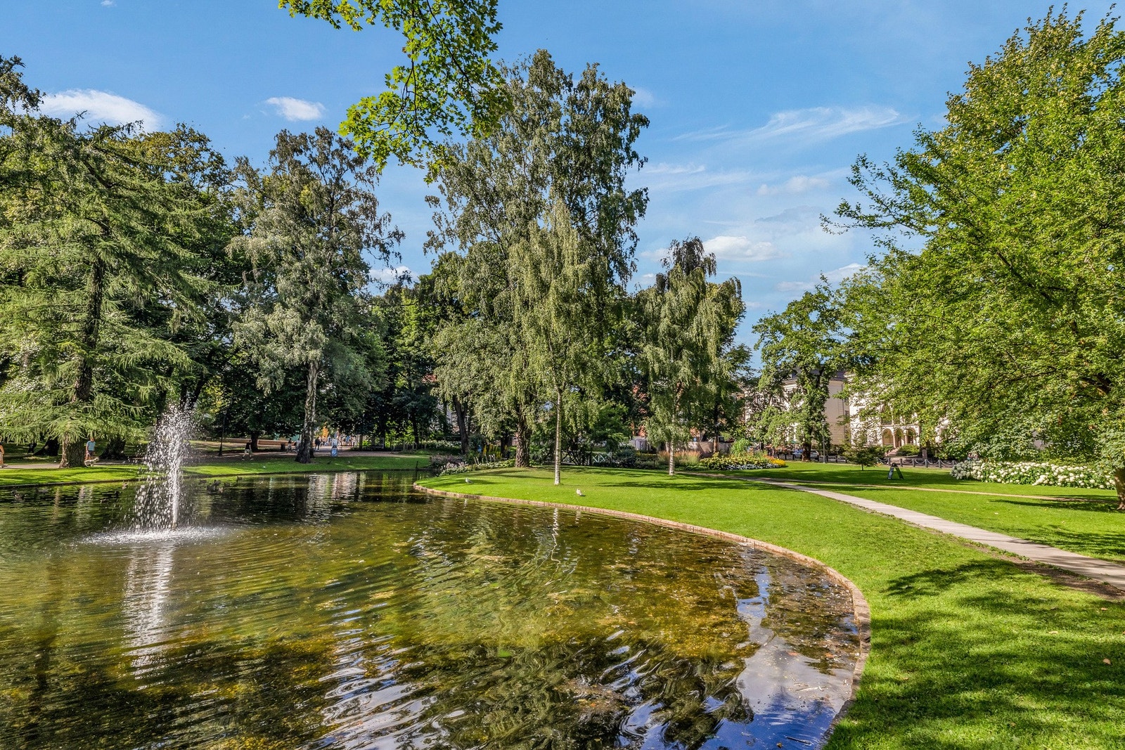 Nærområde Galleribilde