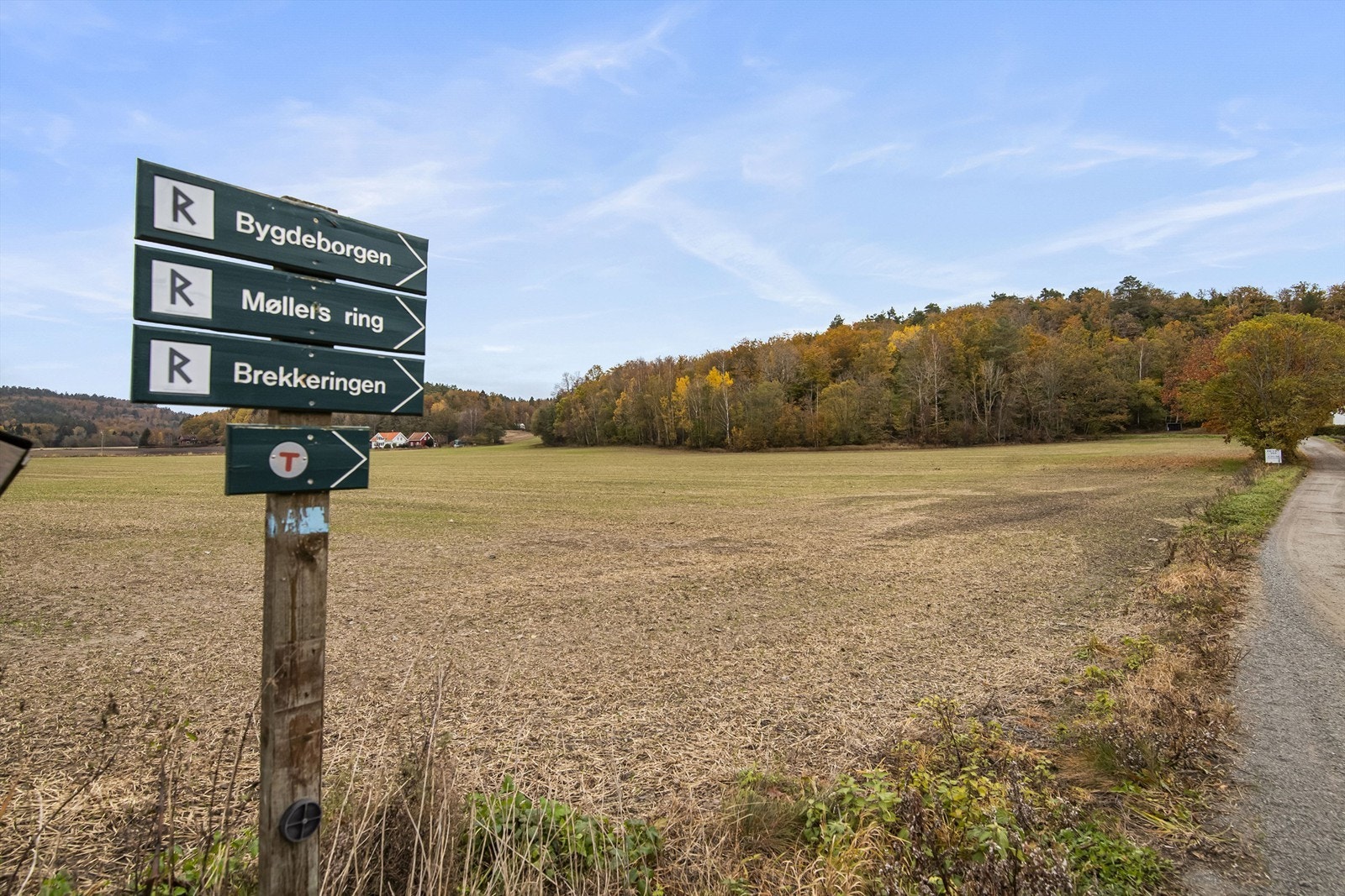 Like utenfor døren starter perfekte turområder som tar deg gjennom vakker natur og opp til den spennende Bygdeborgen Galleribilde
