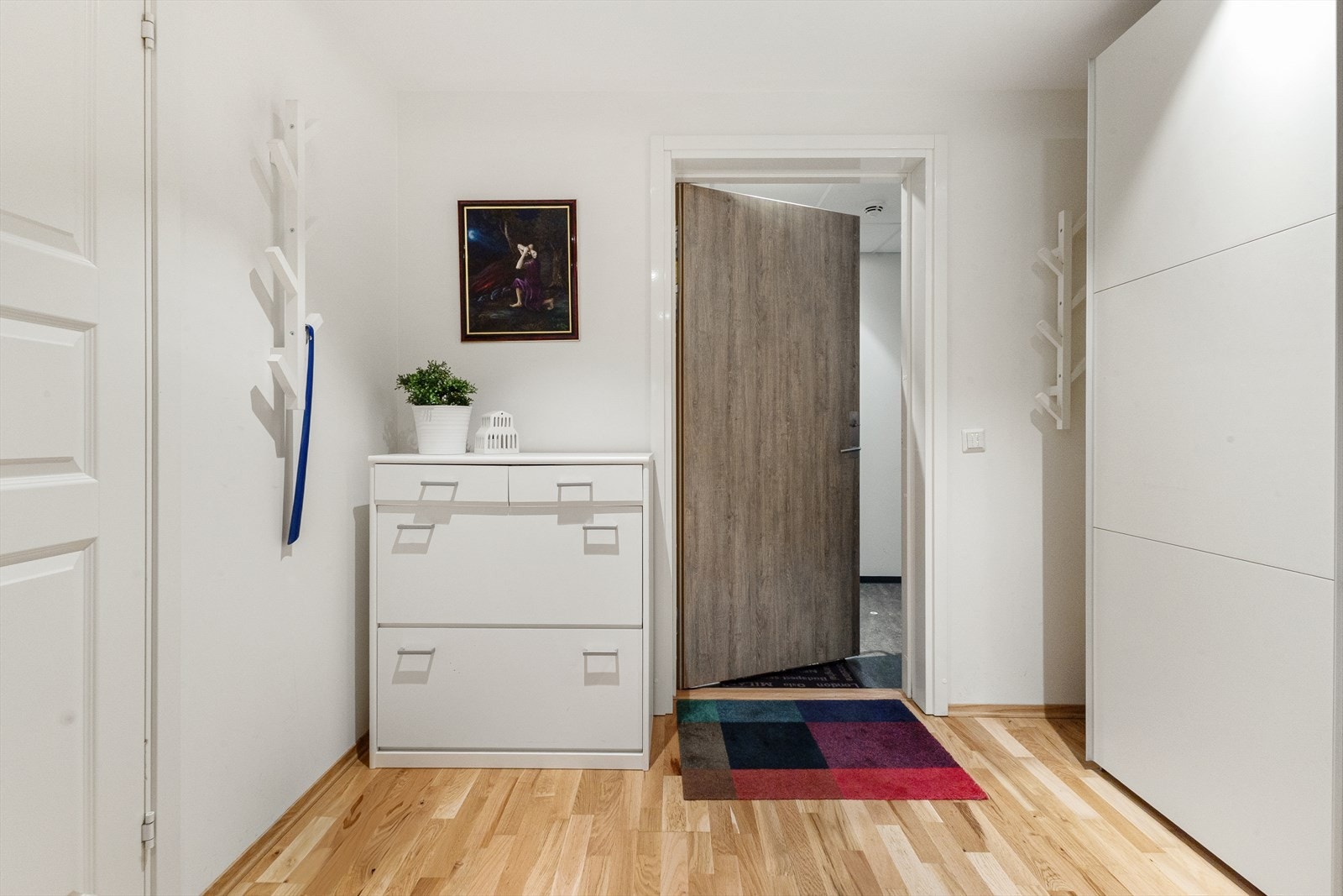 Fra hall/gang mot inn/utgang fra felles gang. Selve døren er brann og lydklassifisert. Galleribilde