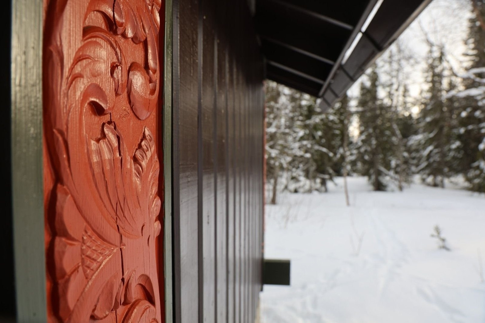 Nybeiset hytte. Her går du rett ut mot skiløype på andre siden av skogen Galleribilde