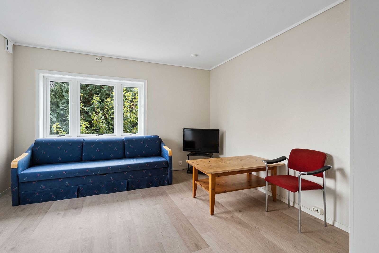 Med plass til seng/sovesofa Galleribilde