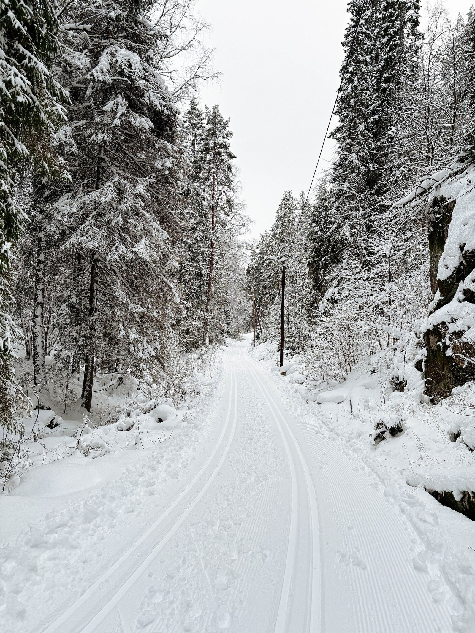 Og flotte skiløyper om vinteren. Galleribilde
