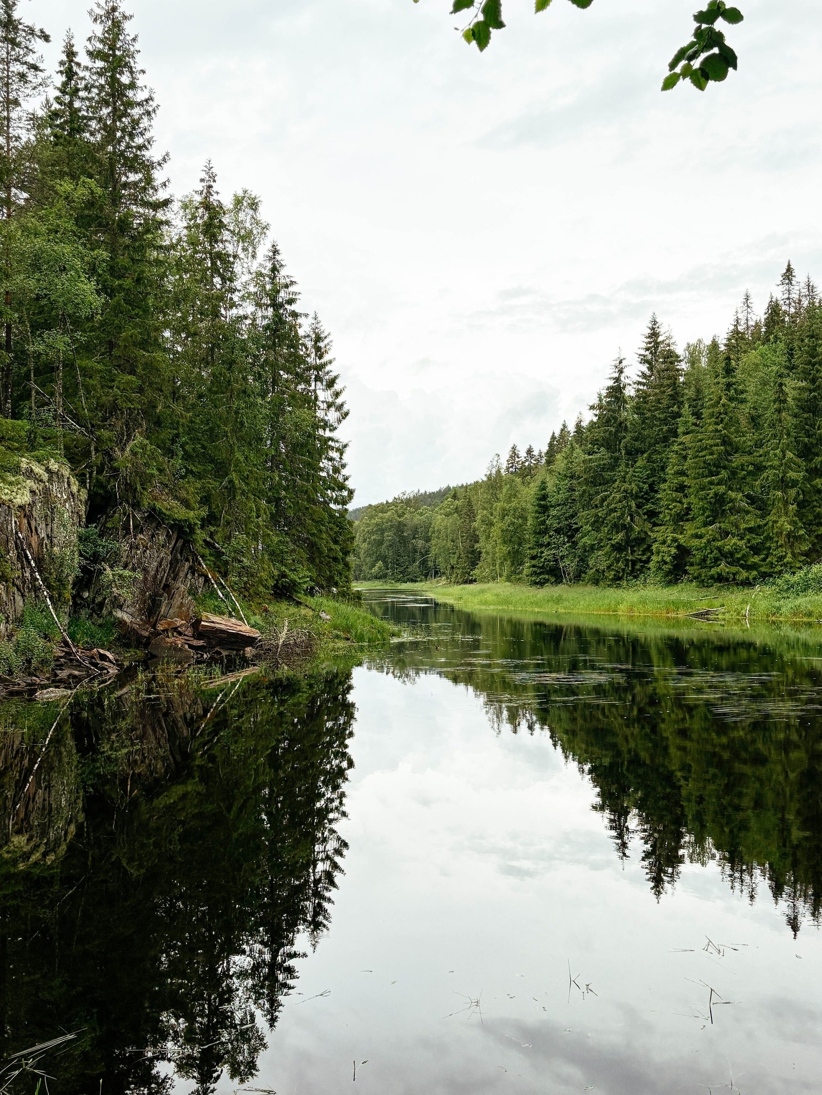 Svært kort vei til fantastiske og ville Østmarka. Her har du milevis med turstier om sommeren. Galleribilde