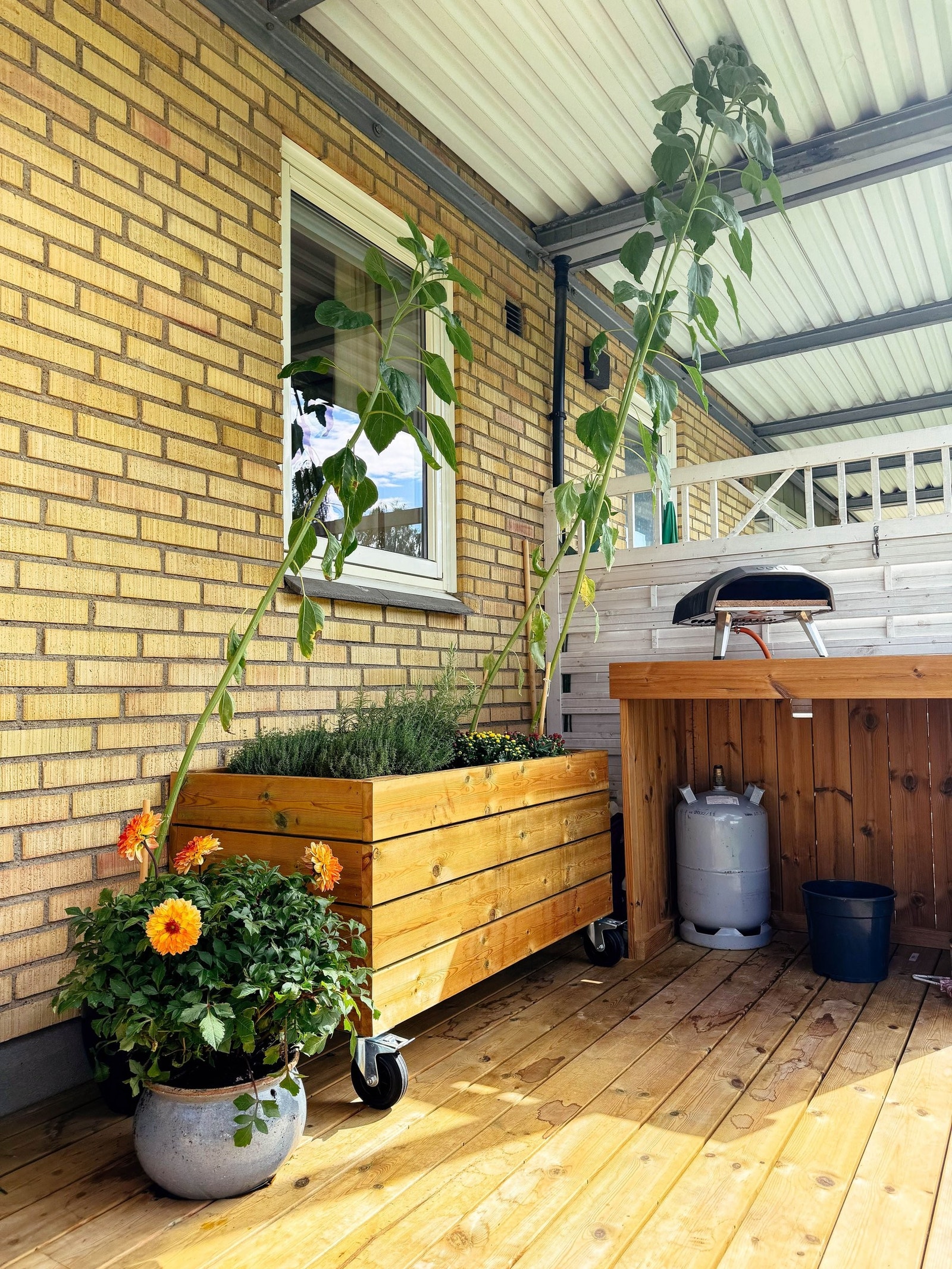 Sommerbilde fra terrasen Galleribilde