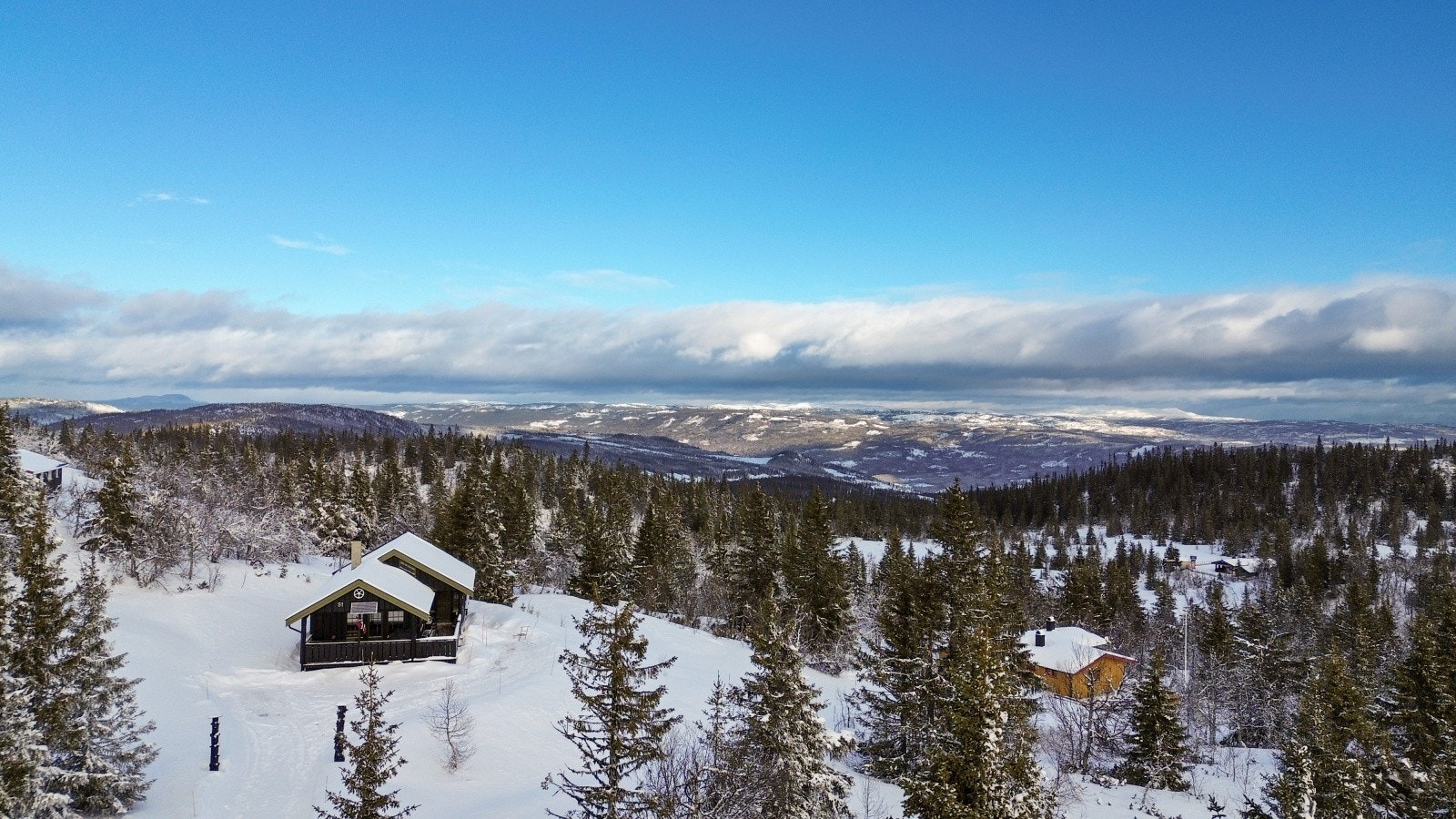 Velkommen til en hyggelig visning! Galleribilde