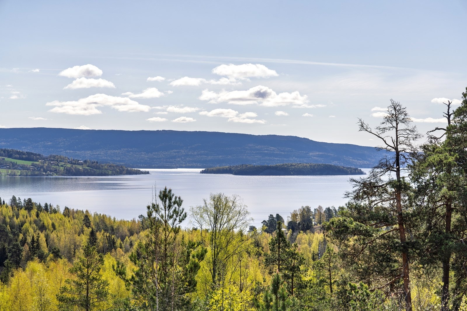 Sommerbilder - Flotte utsiktsforhold på eiendommen. Galleribilde