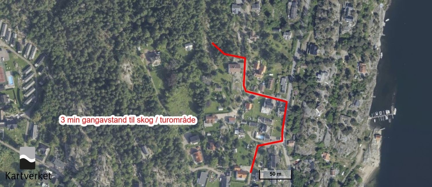 Det er videre bare en tre minutters spasertur før du er i flotte turområder Galleribilde