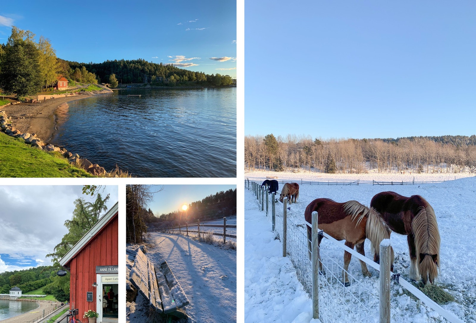 Fra Hvervenbukta og Søndre Ås gård. Selgers bilde. Galleribilde