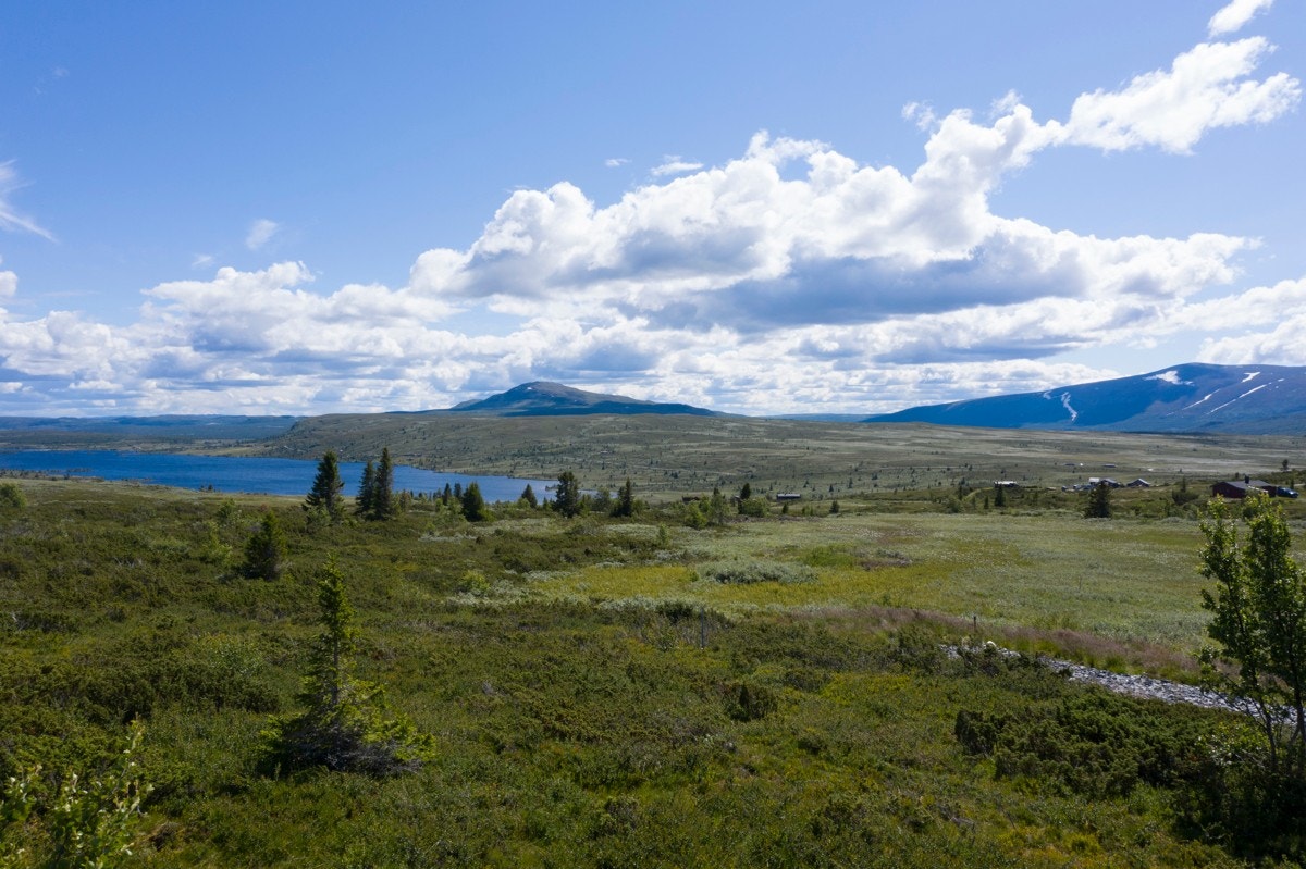 Nydelig utsikt til Gilafjellet, Nøsakampen, Grønnsennknippa, Sørre Syndinvatnet m.m. Galleribilde