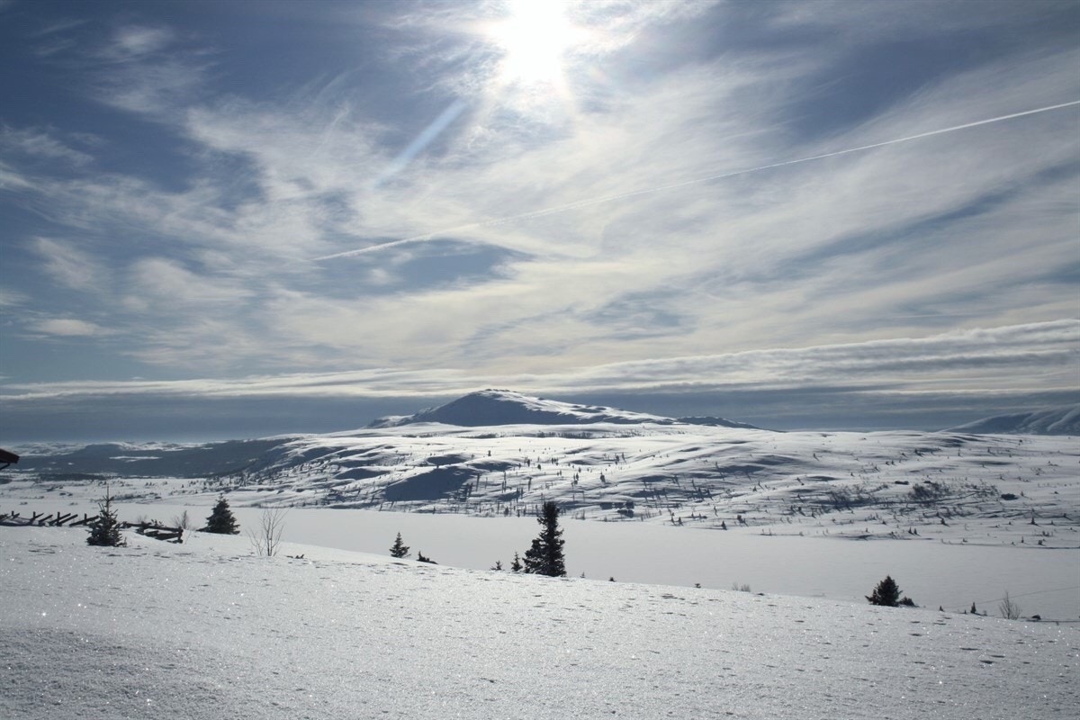 Områdebilde Galleribilde