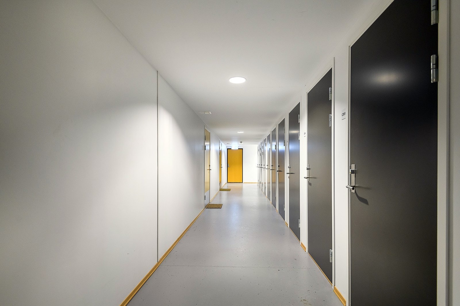 Felles inngangsparti. Galleribilde