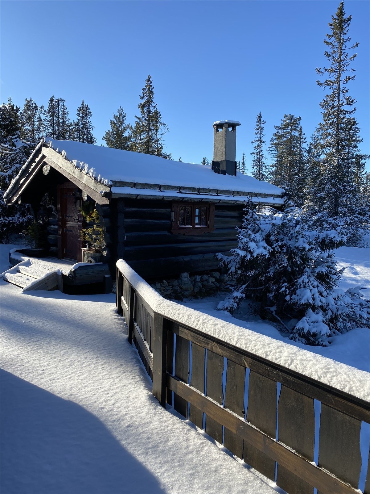 Selgers private vinterbilder. Galleribilde