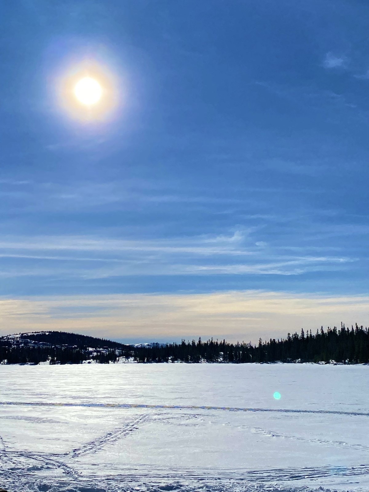 Selgers private vinterbilder. Galleribilde