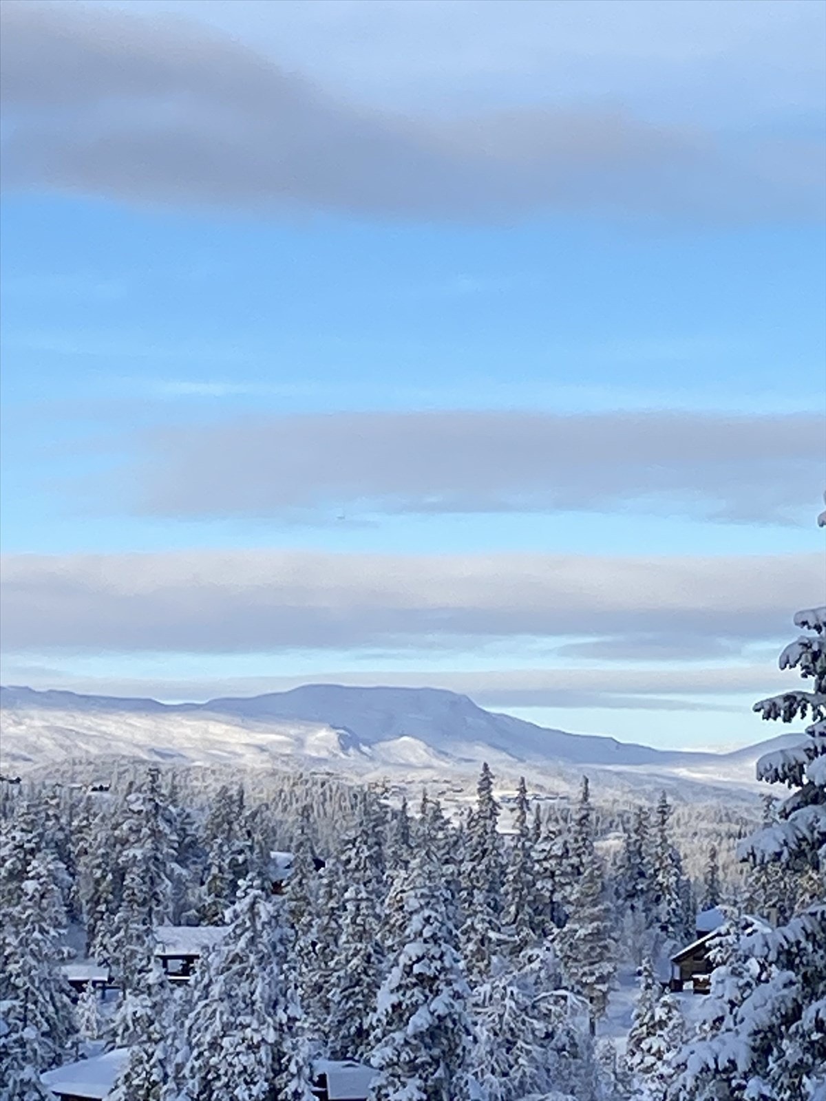 Selgers private vinterbilder. Galleribilde