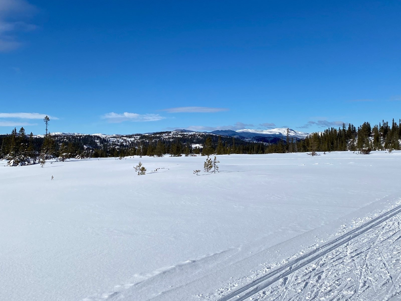 Selgers private vinterbilder. Galleribilde