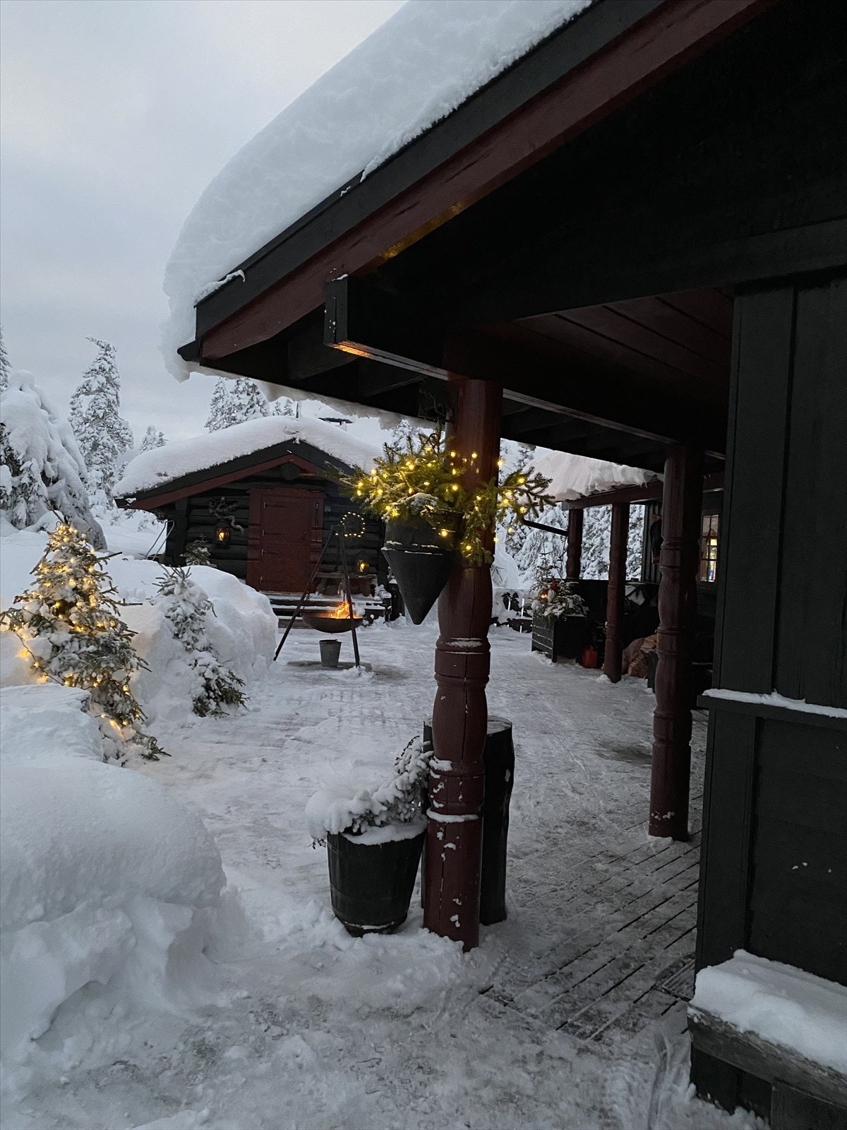 Selgers private vinterbilder. Galleribilde