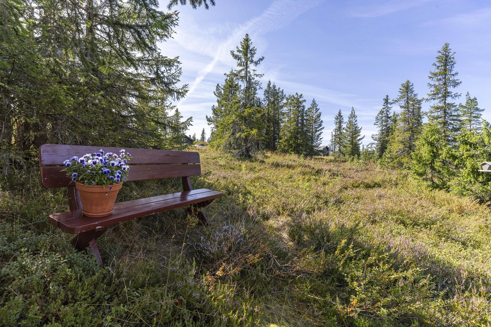 Eiendommen ligger i et lett skrånende terreng. Galleribilde