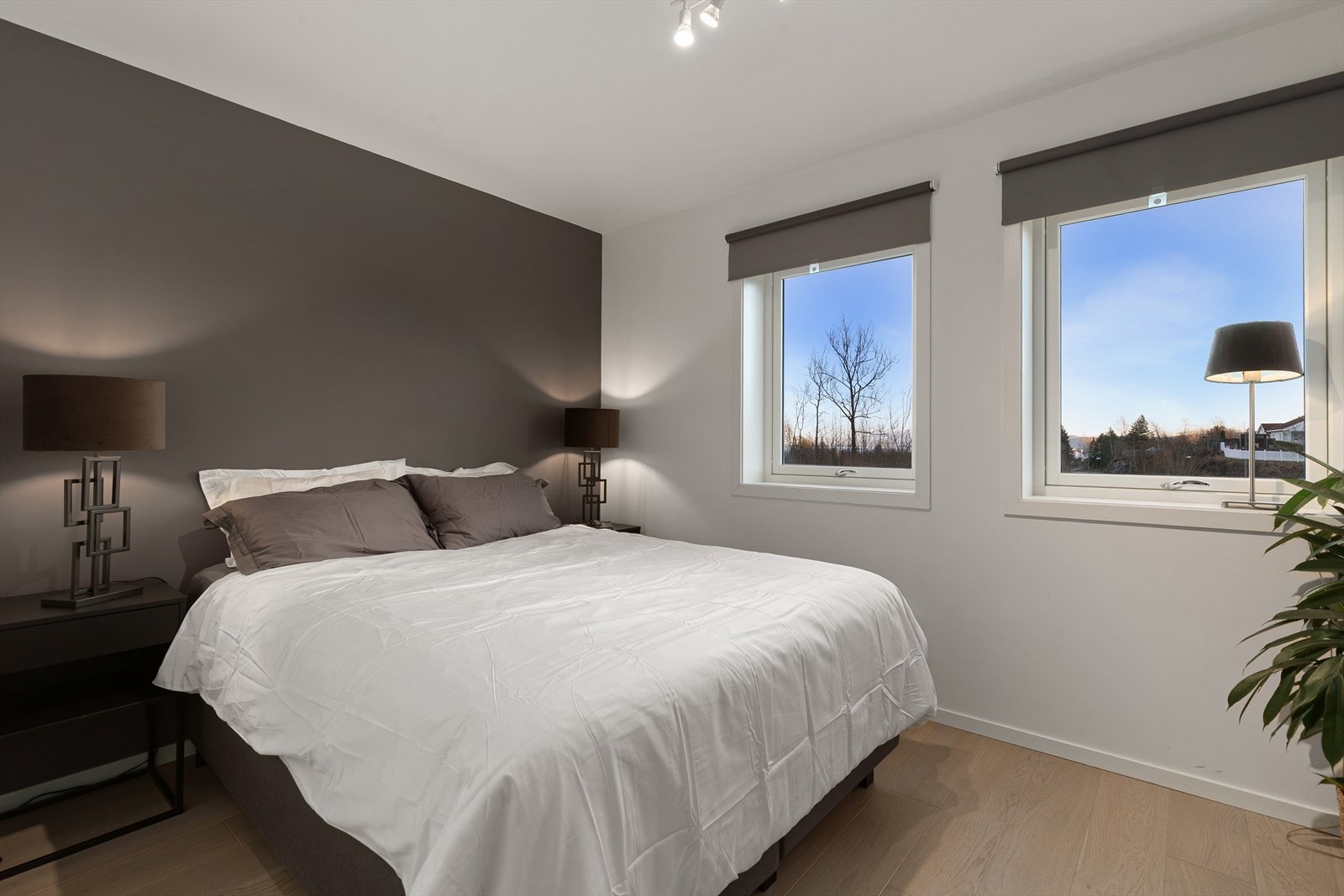 Hovedsoverommet fremstår romslig og har tilknyttet walk-in-closet med åpen garderobeløsning. Galleribilde