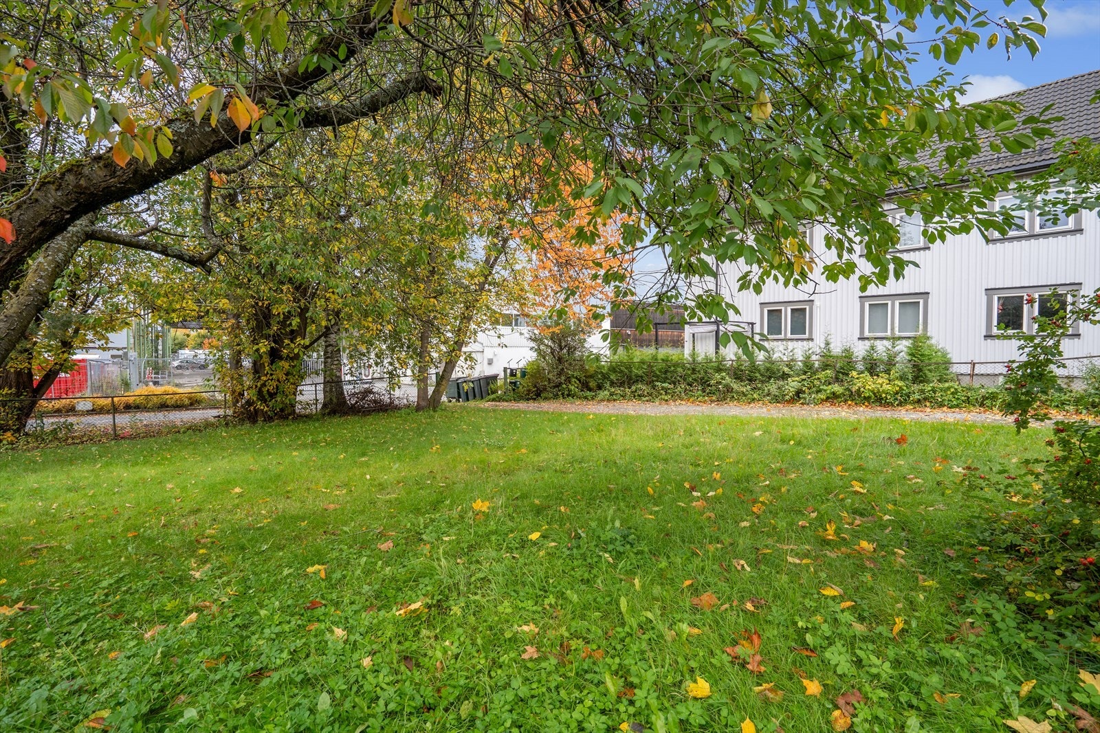 Felles eiet tomt for sameiet som er opparbeidet med plen og har god plass til uteaktiviteter. Galleribilde