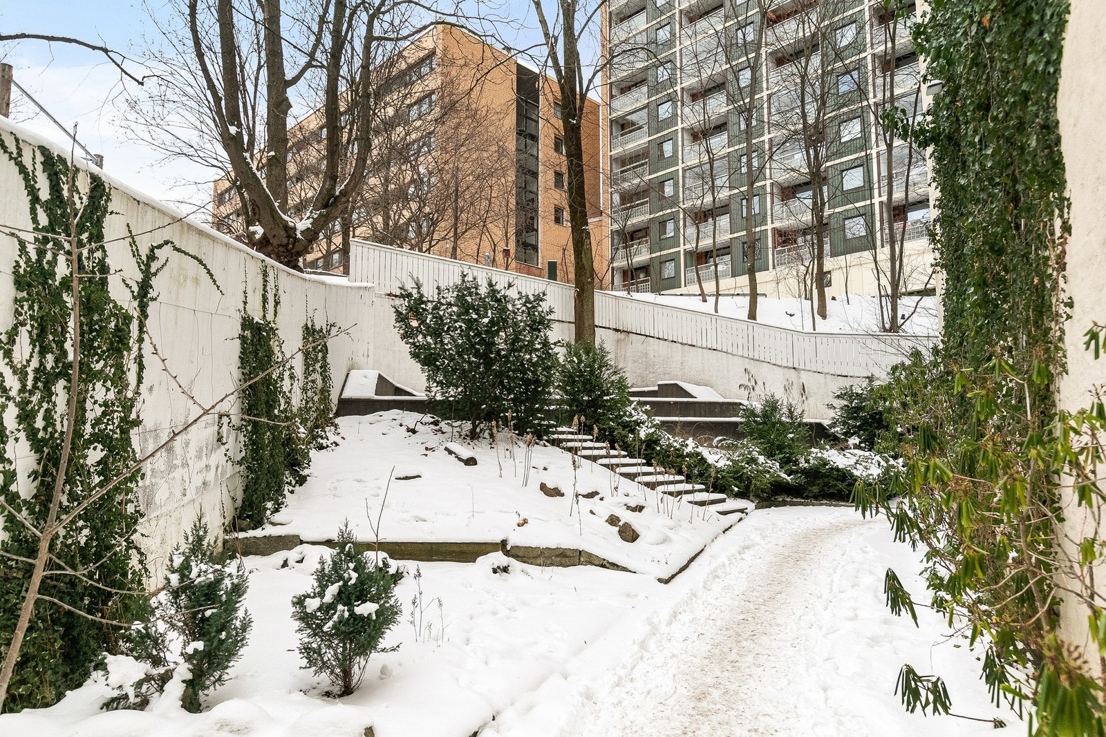 Borettslaget har en rolig grønn bakgård omkranset av store trær med sittegrupper. Galleribilde