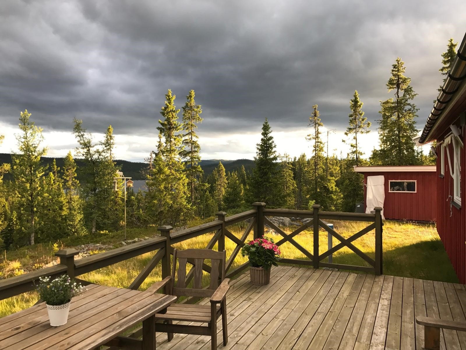 Selgers bilder Galleribilde