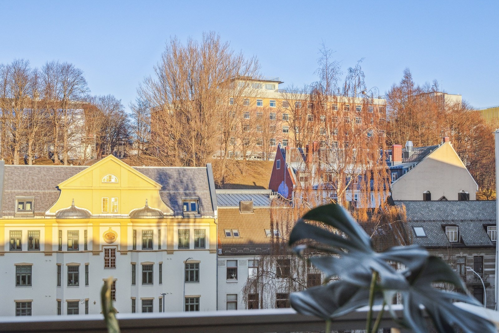 Flott utsikt fra balkongen. Galleribilde