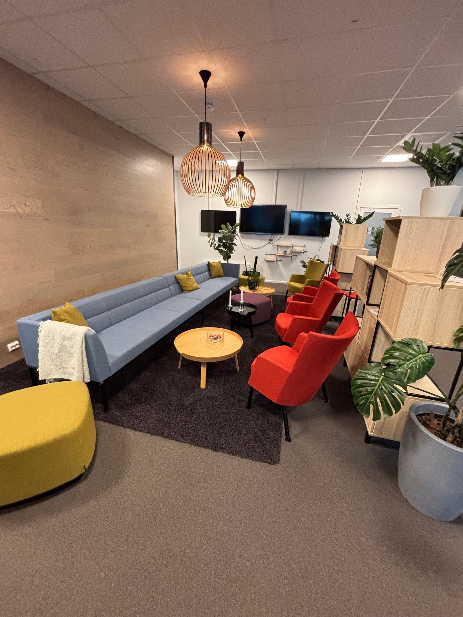 Stort felles areal Galleribilde