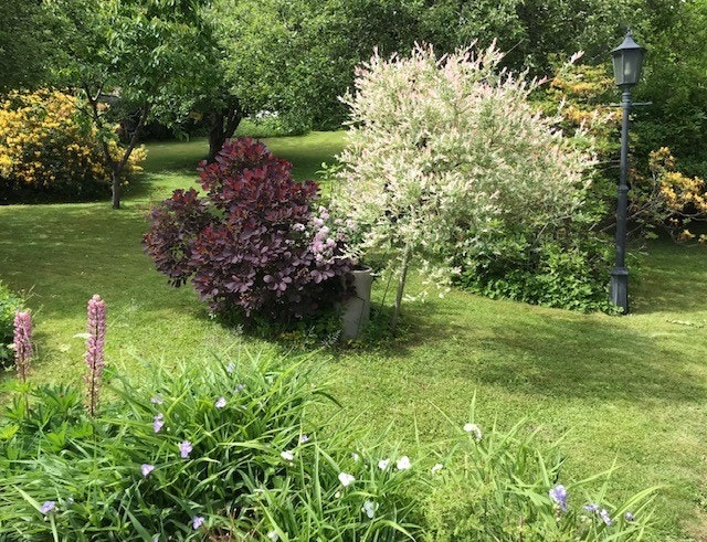 Den store hagen gir rikelig med plass for lek og utendørsaktiviteter (selgers bilde) Galleribilde