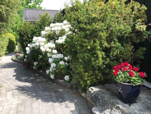 Hyggelige gangstier og beplantning skaper en innbydende atmosfære (selgers bilde) Galleribilde