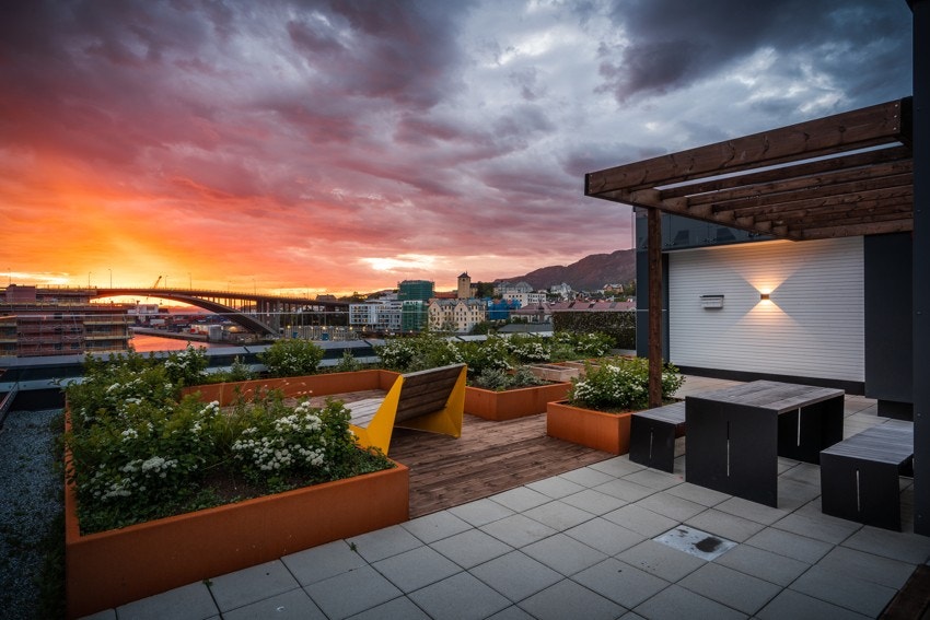 - Felles takterrasse - Galleribilde