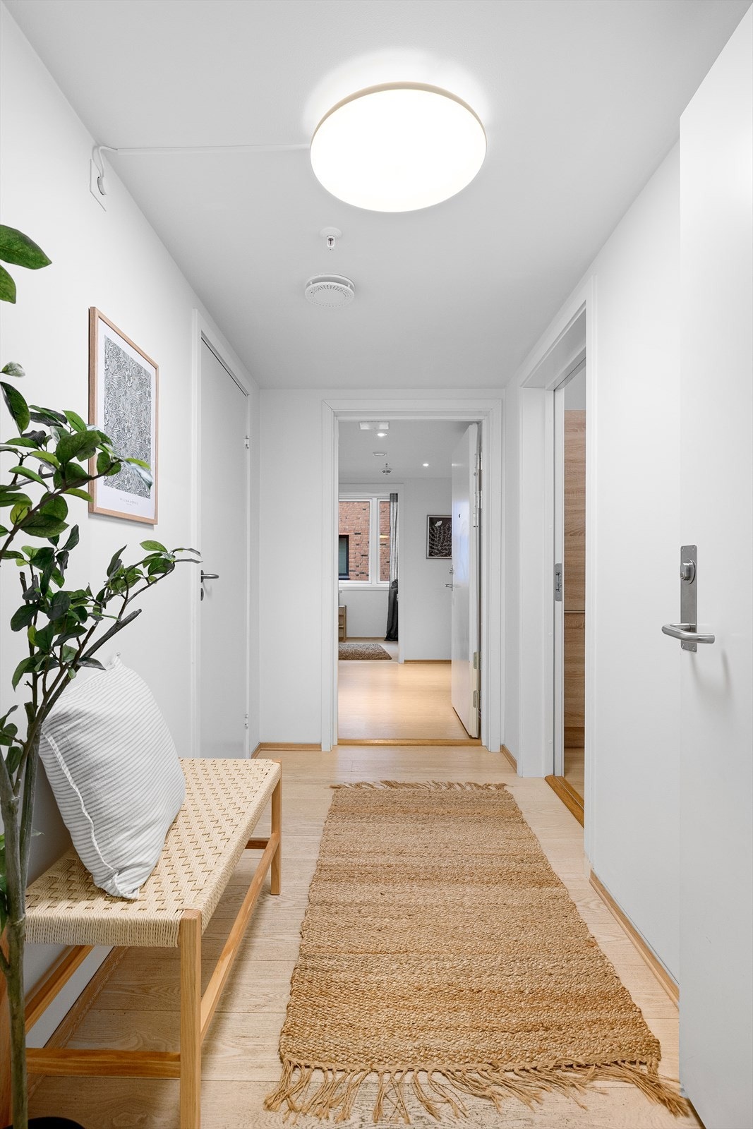 Felles inngangsparti. Galleribilde